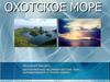 Охотское море