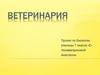 Ветеринария. Ветеринарная клиника
