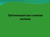 Организация как сложная система