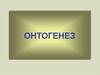 Онтогенез. Типы онтогенеза