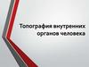 Топография внутренних органов человека