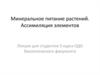 Минеральное питание растений. Ассимиляция элементов