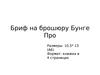 Бриф на брошюру Бунге Про