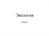 Термин "экология"