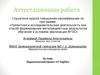 Аттестационная работа. Педагогический проект «IT English»