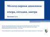 Молекулярная динамика. Вчера, сегодня, завтра