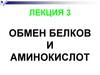 Обмен белков и аминокислот