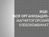 Магнитогорский хлебокомбинат. Жизненный цикл клиента