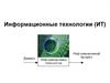 Информационные технологии