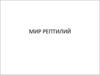 Мир рептилий. Первые пресмыкающиеся (рептилии)
