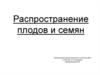 Распространение плодов и семян