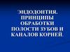 Эндодонтия. Принципы обработки полости зубов и каналов корней