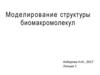 Моделирование структуры биомакромолекул