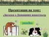 Загадки о домашних животных