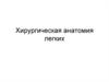Хирургическая анатомия легких
