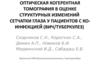 Оптическая когерентная томография в оценке структурных изменений сетчатки глаза у пациентов с ко-инфекцией (ВИЧ/туберкулез)