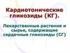 Кардиотонические гликозиды.  Лекарственные растения и сырье, содержащие сердечные гликозиды