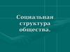 Социальная структура общества