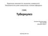 Туберкулез. Қоздырғыш