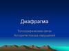 Диафрагма. Топографические связи. Алгоритм поиска нарушений