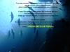 Товароведение и товароведная экспертиза продовольственных товаров в таможенном деле. Мороженая рыба