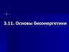 Основы биоэнергетики. (Лекция 12)