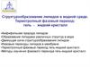 Структурообразование липидов в водной среде. Термотропный фазовый переход: гель - жидкий кристалл