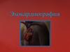 Эхокардиография. История