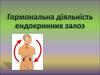 Гормональна діяльність ендокринних залоз