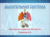 Дыхательная система. Функции. Строение
