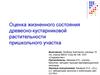 Оценка жизненного состояния древесно-кустарниковой растительности пришкольного участка