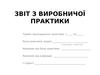 Звіт з виробничої практики