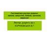 Систематика рослин родини: макові, капустяні, бобові, гречкові, вересові