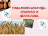 Полисахариды. Крахмал и целлюлоза
