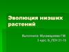 Эволюция низших растений