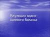Регуляция водно-солевого баланса