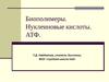 Биополимеры. Нуклеиновые кислоты. АТФ
