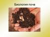 Биология почв