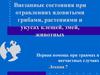 Внезапные состояния при отравлениях ядовитыми грибами, растениями и укусах клещей, змей, животных. (Лекция 7)