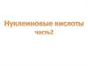 Нуклеиновые кислоты. (Часть 2)