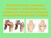 Артропластика плечевого, локтевого, тазобедренного, коленного суставов, артродез, эндопротезирование суставов