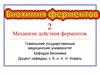 Механизм действия ферментов