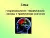 Нейропсихология: теоретические основы и практическое значение