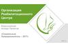 Организация реабилитационного центра