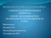 Самоактуализирующаяся личность: ресурс креативности и особенности реагирования на стресс