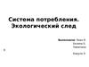 Система потребления. Экологический след