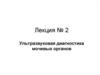 Ультразвуковая диагностика мочевых органов