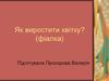 Як виростити квітку