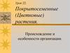 Покрытосеменные (Цветковые) растения. Происхождение и особенности организации