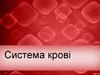 Система крові